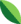 a green leaf